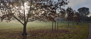 Contact McHargs in Wodonga